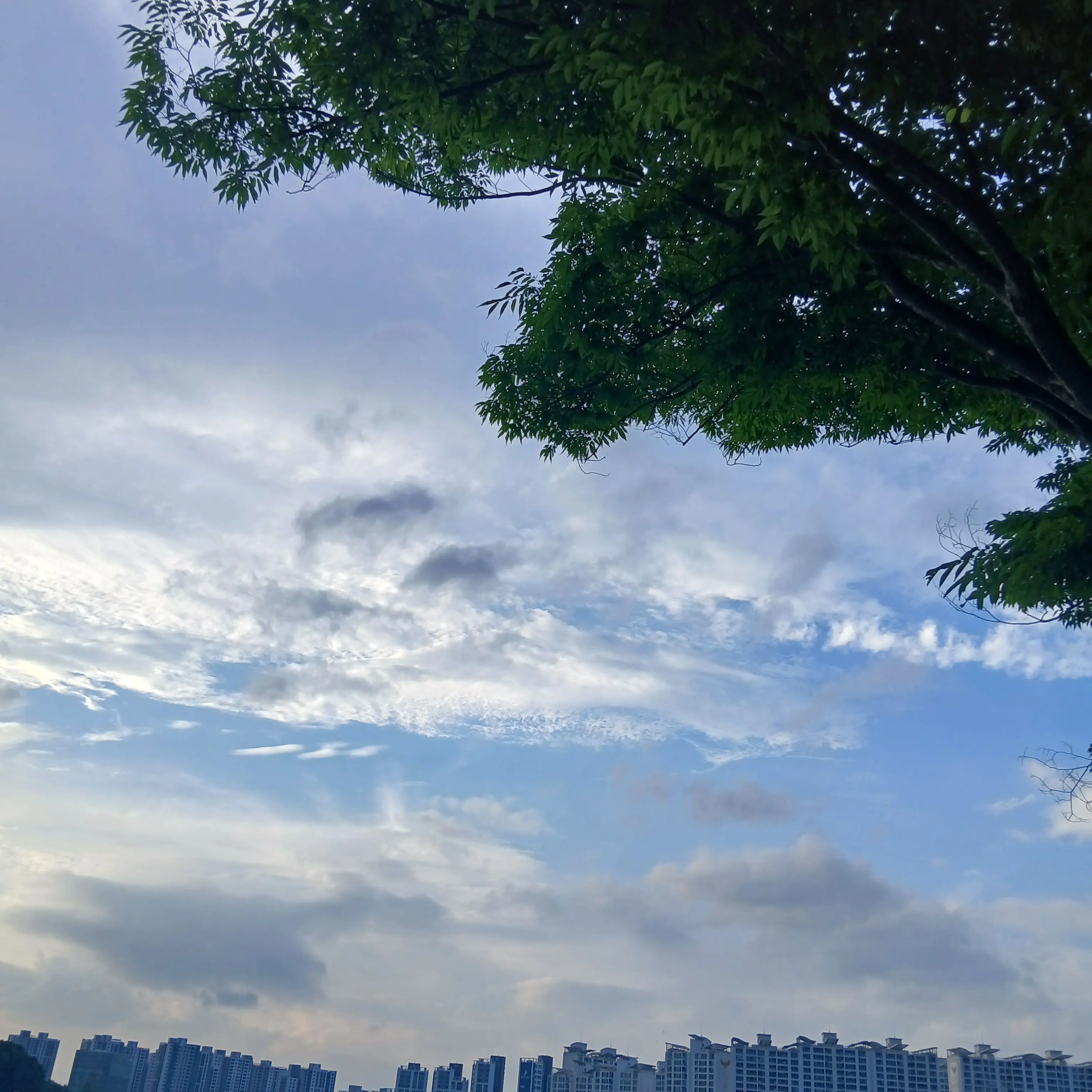 Dhdhsjjxjxjdjsjw의 축구인데..여우가 이번 신입...?