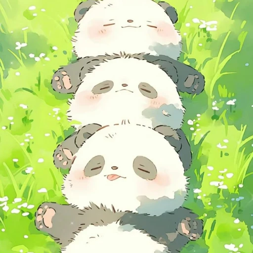 바오,바연,바우
