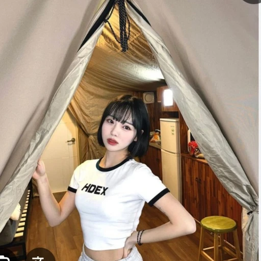 송연