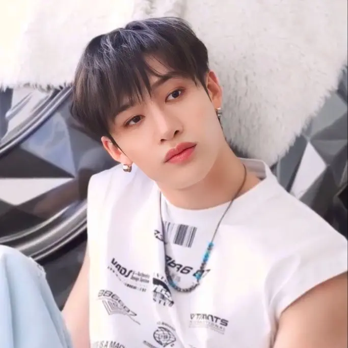 StarkKing5691의 방찬