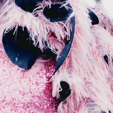 Profile image of 松本かれん