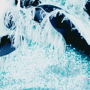 Profile image of 櫻井優衣