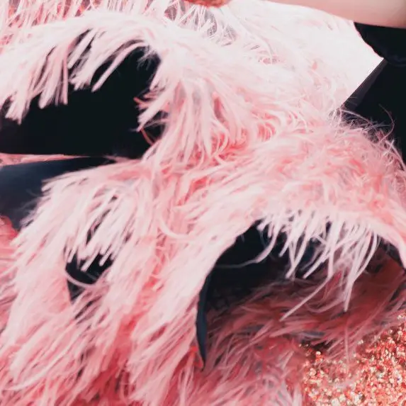 HARAJUKU의 嘘告…？