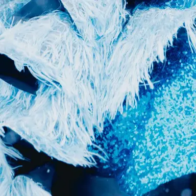 Profile image of 真中まな