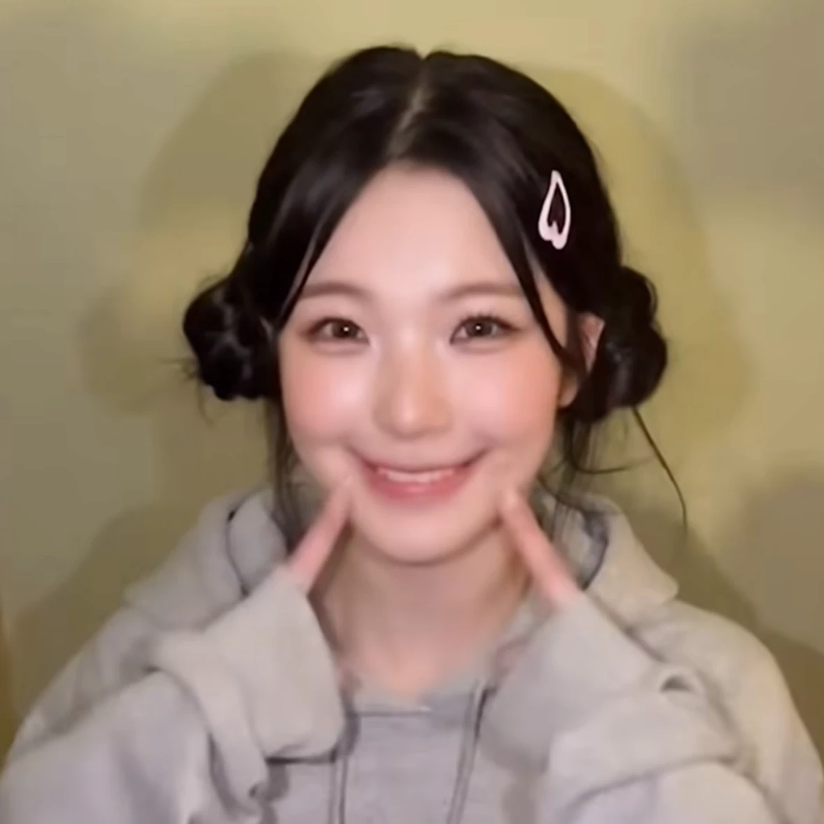 백지헌
