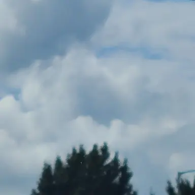 Profile image of 선생님