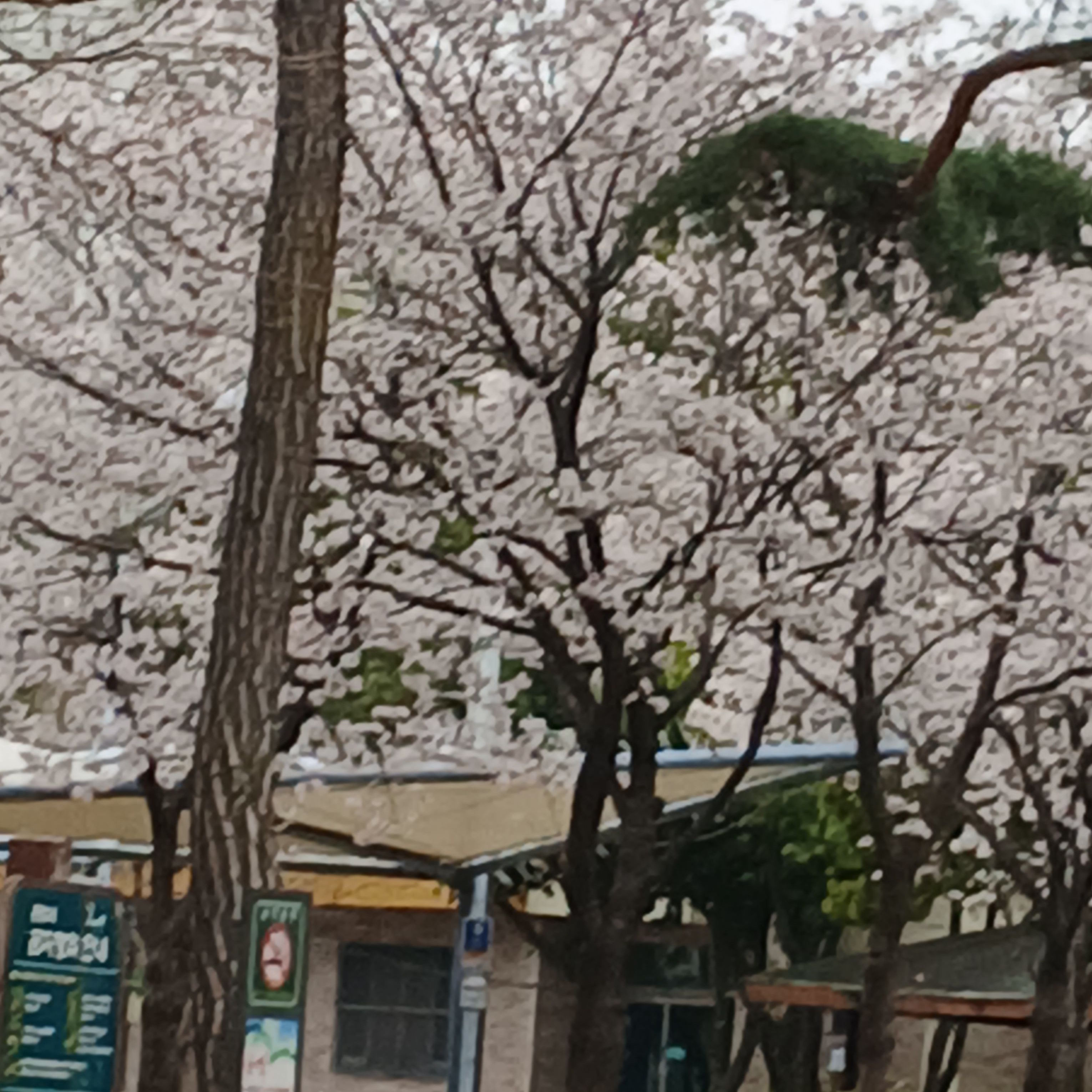 그 방학동안 만들거 다 만들어보겠어요 대표 이미지