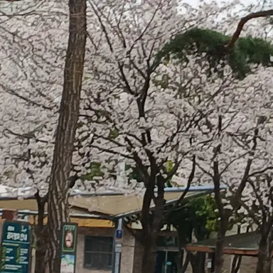 Profile image of 설비늘