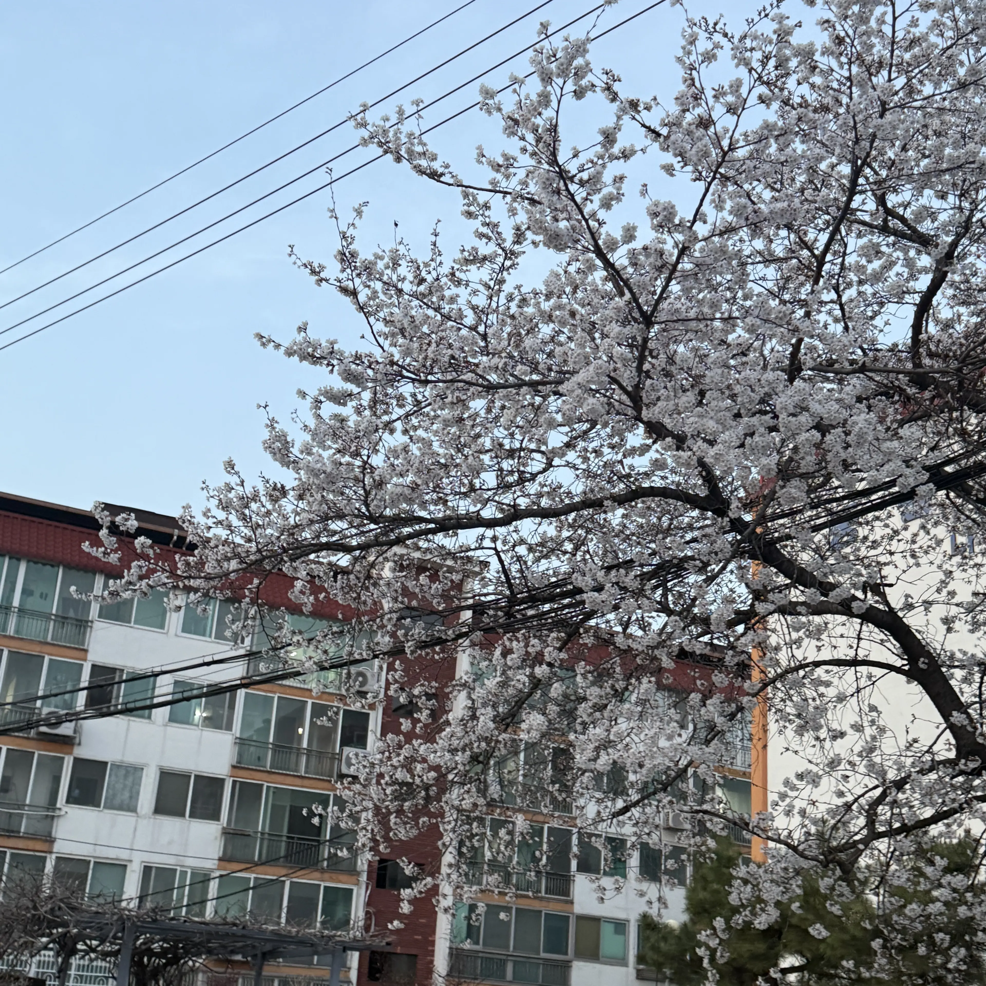 D.o_h_kyungsoo의 운동부선배 김종인