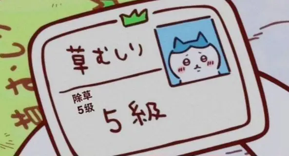 Profile image of 하치와레