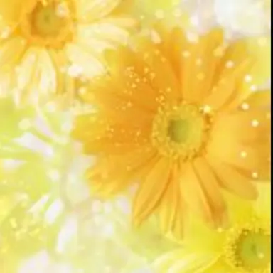 Profile image of 悠佑