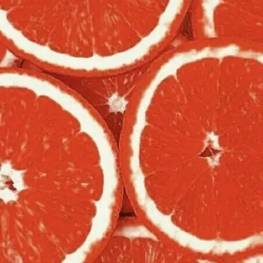 Profile image of 라더