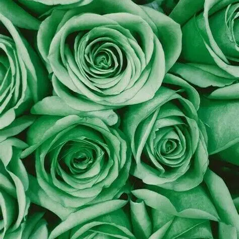 BronzeWife1268의 誰にでも優しいバ先の先輩