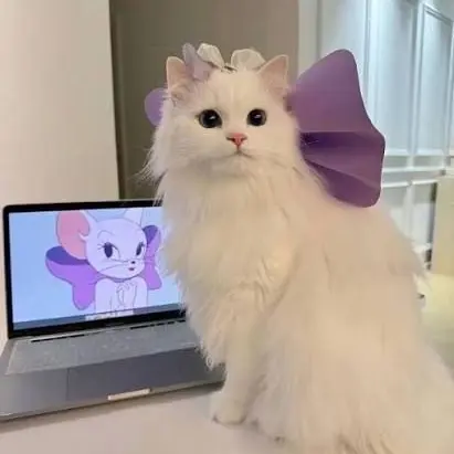 TimelyTiger5684의 Mha Kitty!