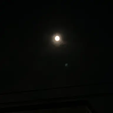 Profile image of 零