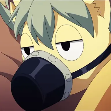 Profile image of Allocer