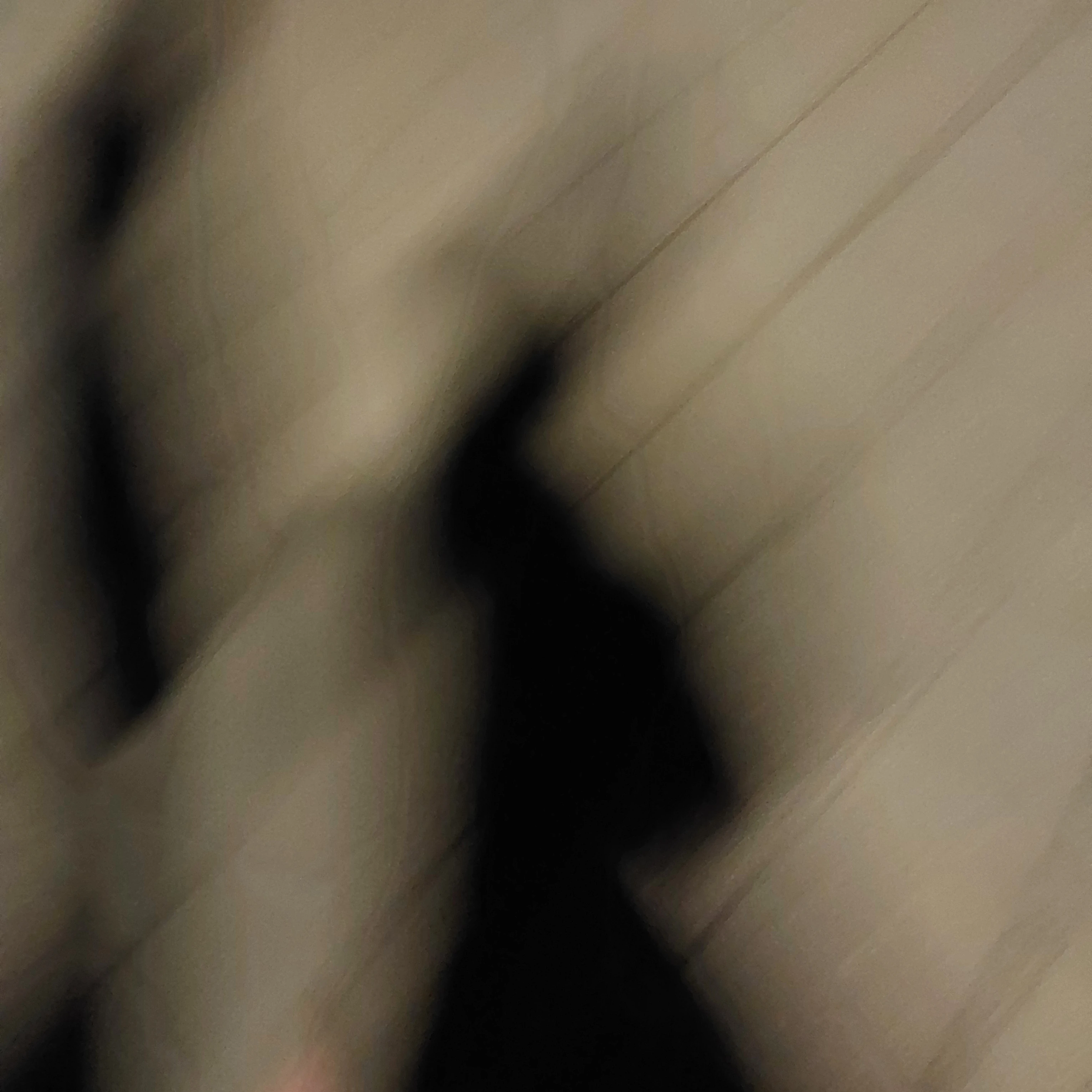한채림