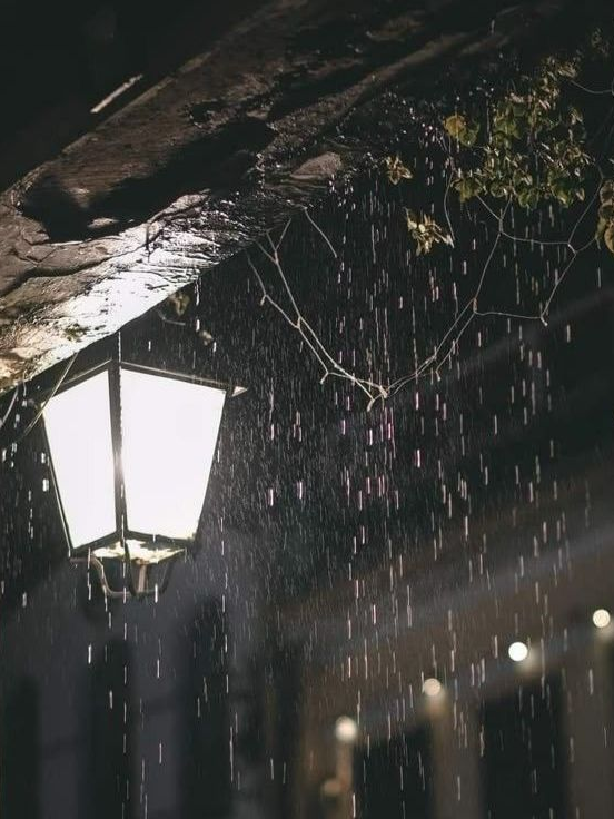 connected 대표 이미지