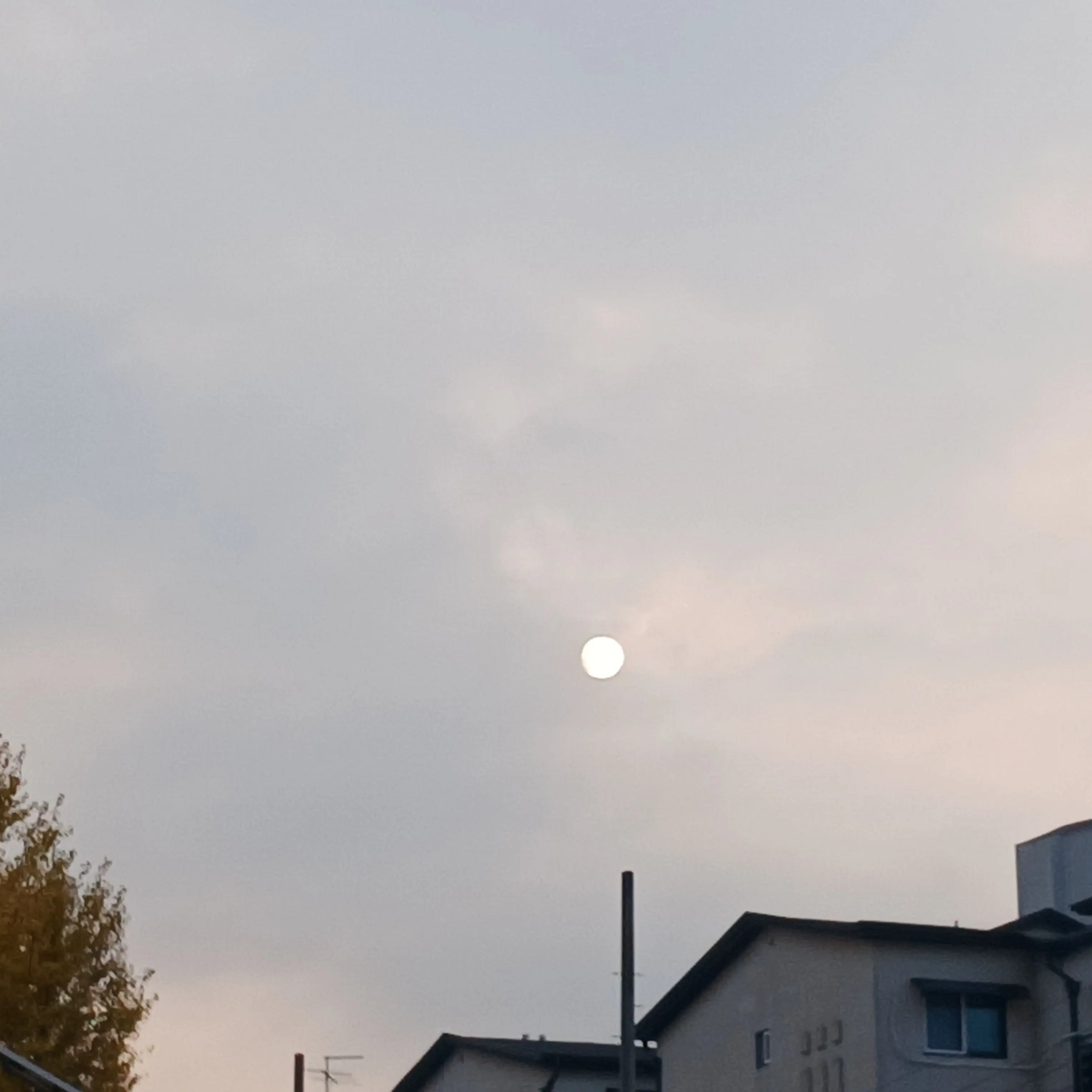 SicklyStage8925의 내 친동생 좀비 경민