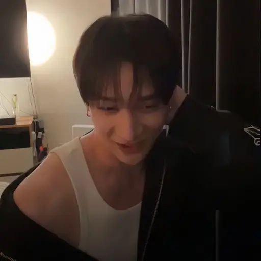 realstraykids의 방찬