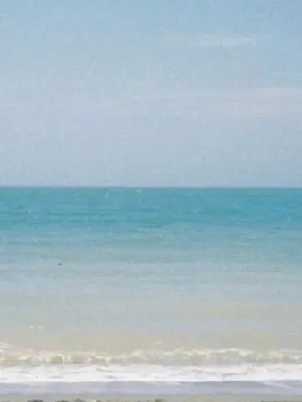 MeekBeach9342의 同級生の妹と