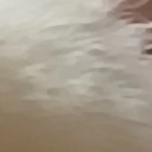 유하진