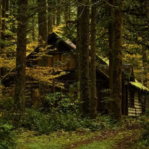 TriteMoose6911의 여기, 좋아.