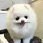 설탕이