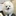 설탕이