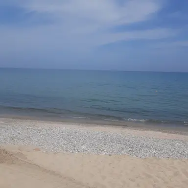 Profile image of 아명