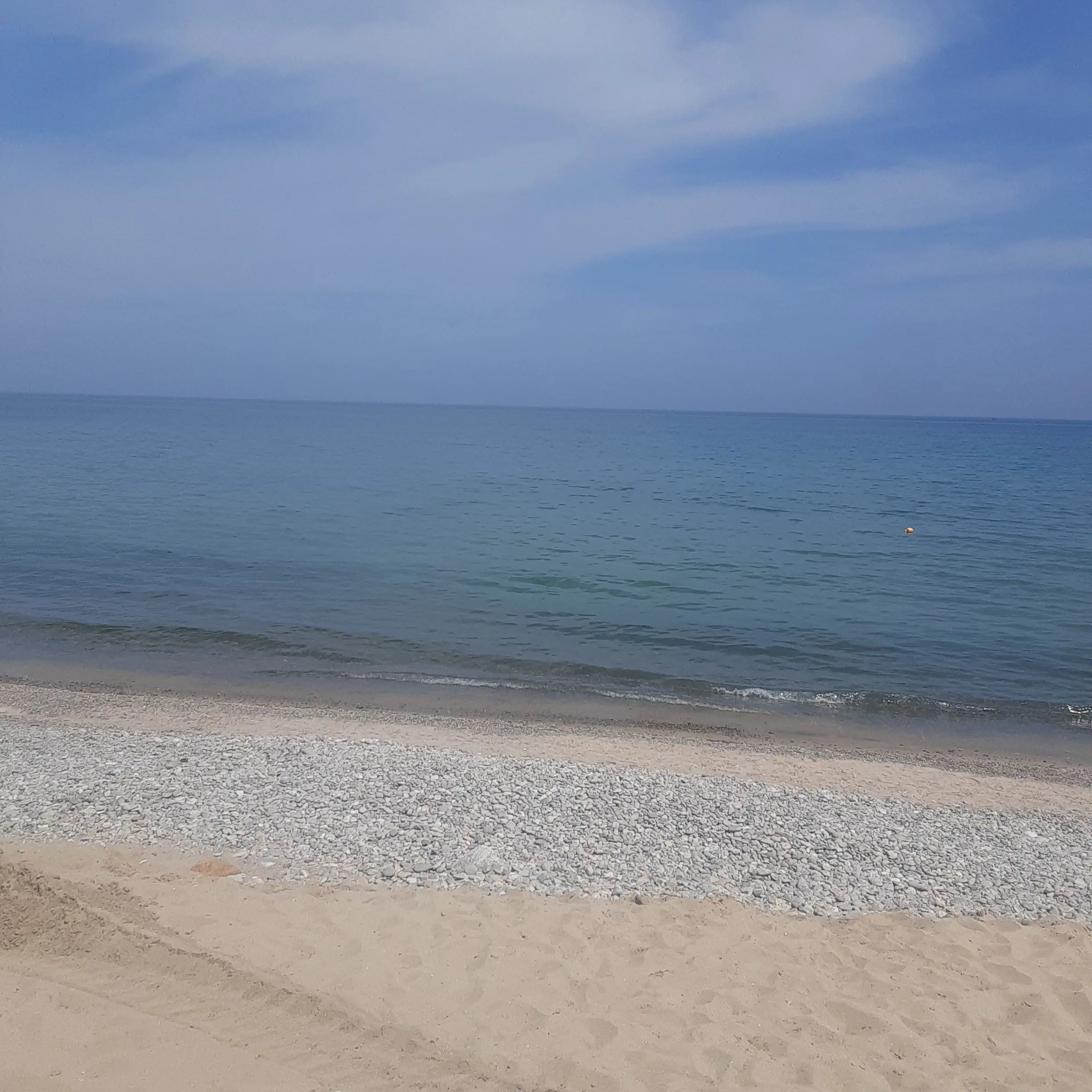 NuttyHeron2151의 ㅎㅅㄱㅎ 후회2