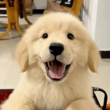 Profile image of 보리