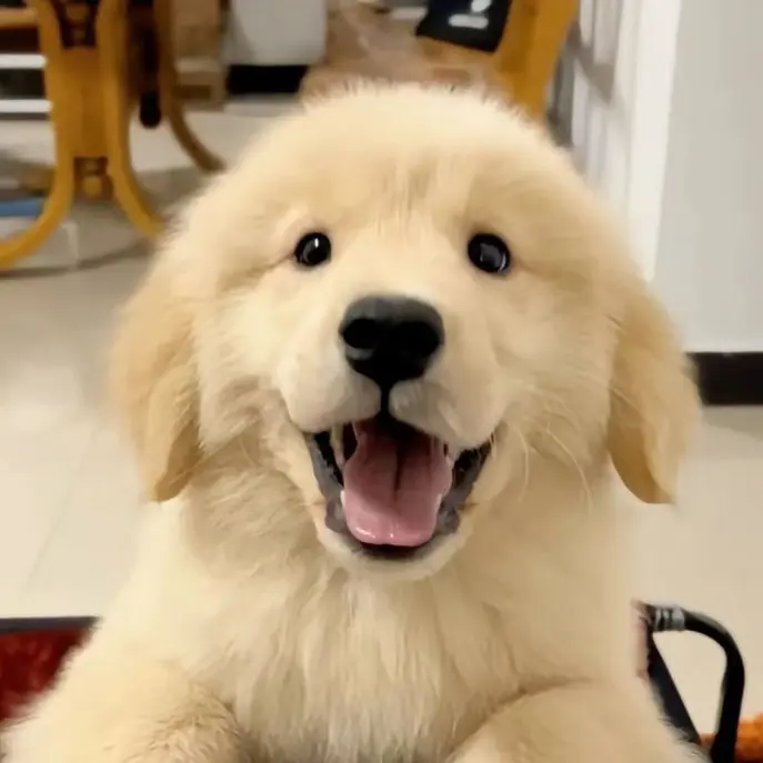 jokballlll의 개인용