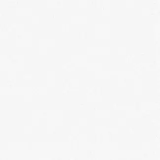 Profile image of アメリカ