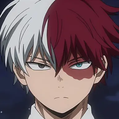 Profile image of Todoroki