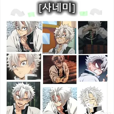 Profile image of 시나즈가와 사네미