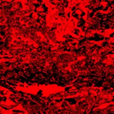 Profile image of 스펙터