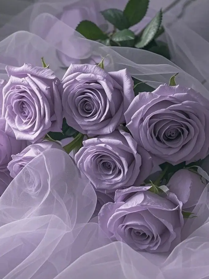 Ra._.yu의 愛重めの許嫁さん。