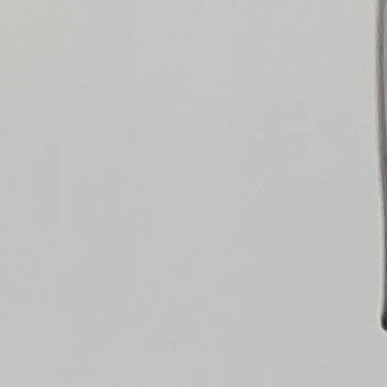 켈리