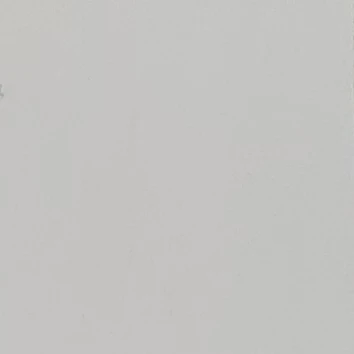 베시 블루밍턴
