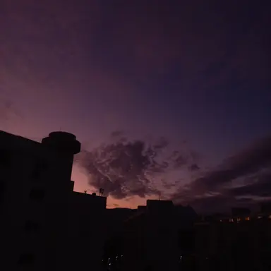 Profile image of 정부군