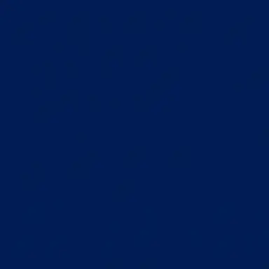 Profile image of 금성제