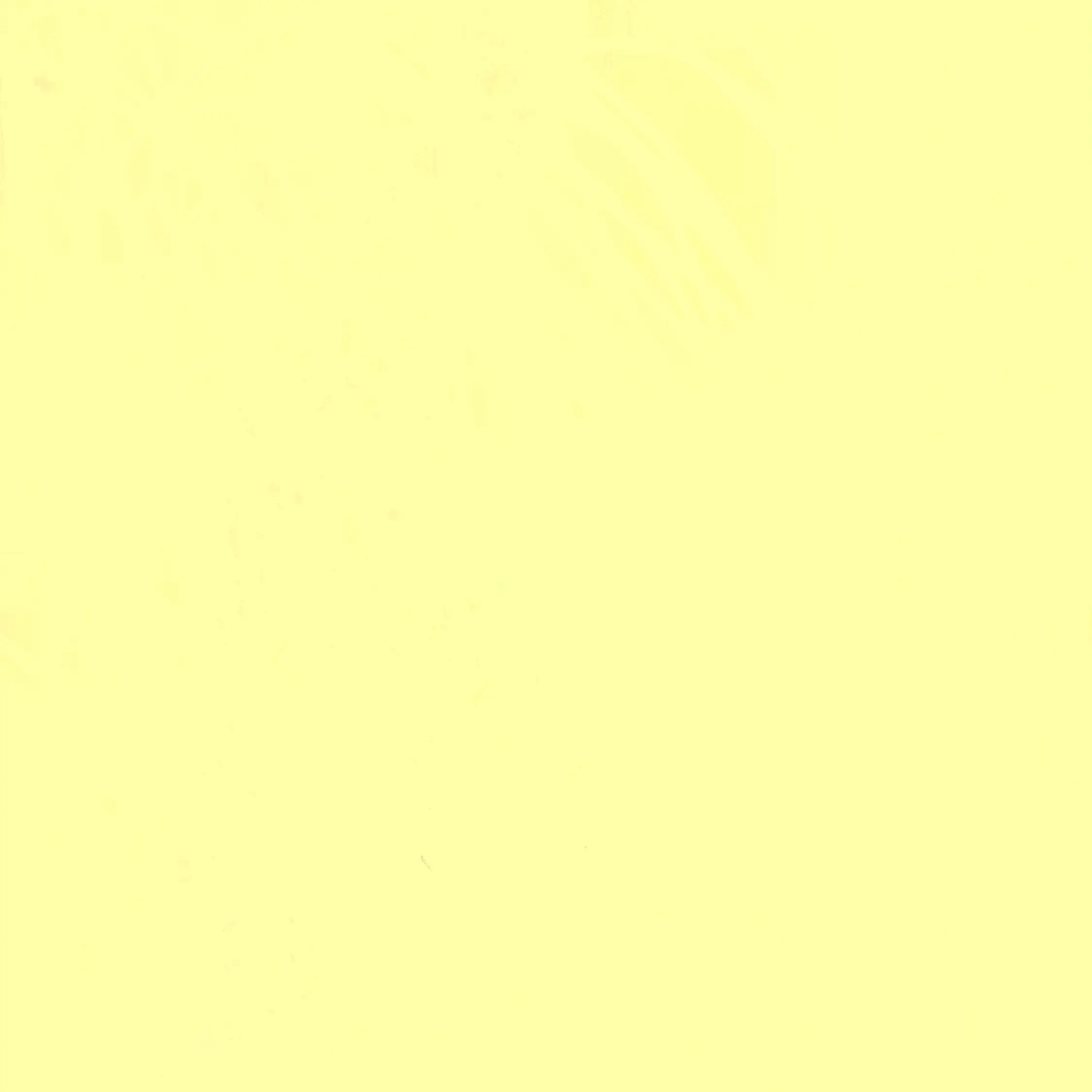 FirmCoin2307의 싸움에 미친 남사친들