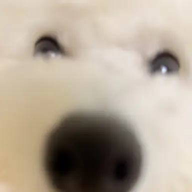 Profile image of 유저님들