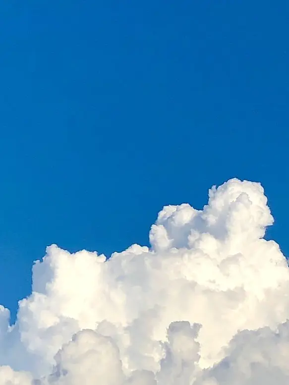 guruko의 幼い頃の、小さな約束。