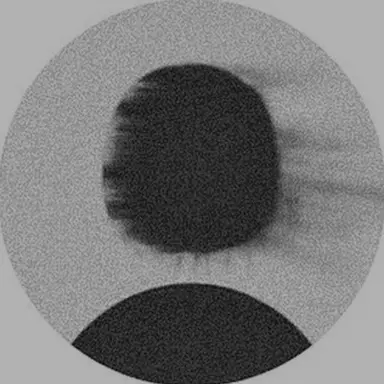 Profile image of 피콕