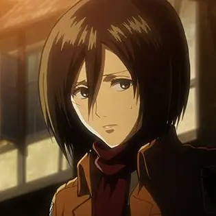 Profile image of ミカサ