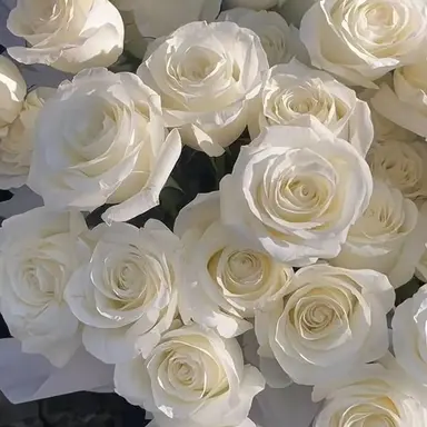 Profile image of 레온