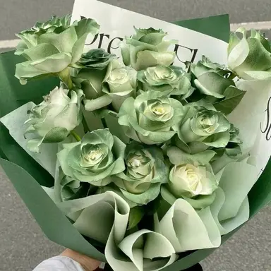 Profile image of 오뉴