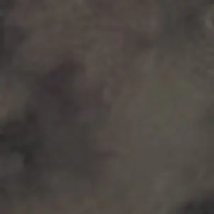 Profile image of 絡李